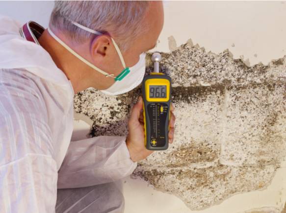 West Palm Beach Based Mold Remediation Testing And Inspection
